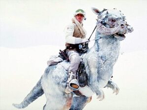 611px-Luketauntaun