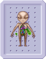 Sectoidautopsy