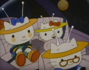 KittyTerrestrial