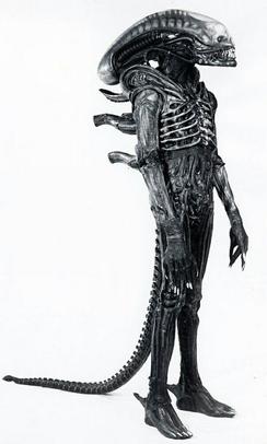 Xenomorph-design