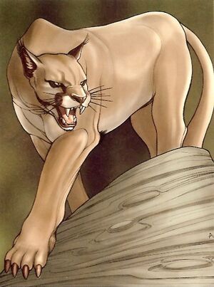 CorellianSandPanther