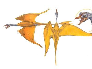 WhisperBird