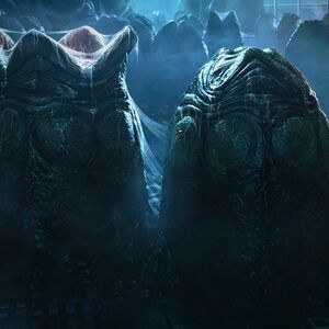Xenomorph Alien Species Fandom
