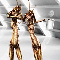 Annelid Alien Species Fandom