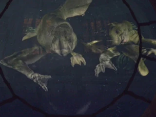 Xindi-Aquatic | Alien Species | FANDOM powered by Wikia