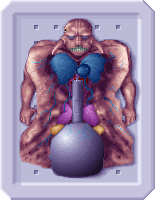 Floaterautopsy
