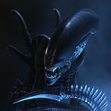 Xenomorph Alien Species Fandom