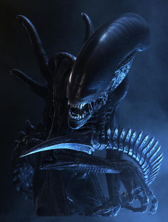 Alien Vs Predator Xenomorph Scene