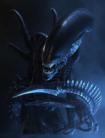 Alien Vs Xenomorph