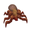 Xenonite
