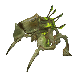 Half Life 2 Antlion Guard Half Life 2 Antlion Guard