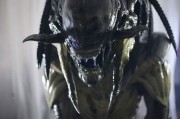 Alien predalien