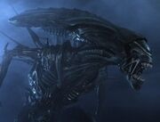 Alien rainha