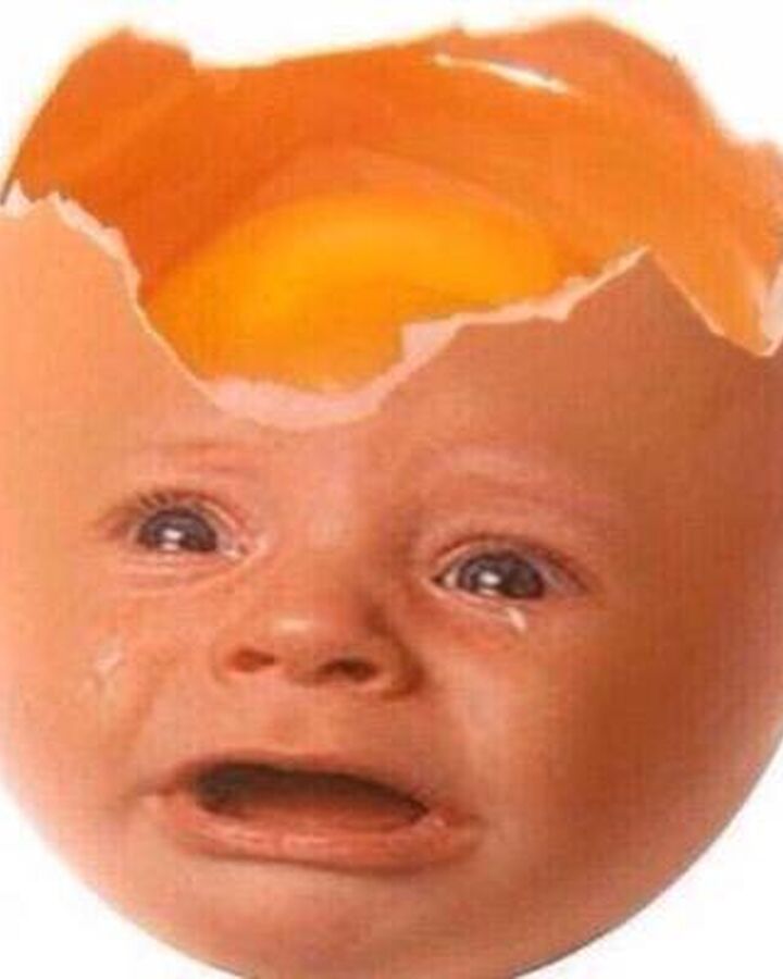 all natural formula for babies