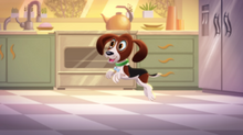 Shimmer and Shine Rocket