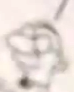 Grampa