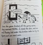 Geese 2
