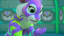Rainbow The Tiger