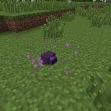 Endermite Gallery All Enemies Wiki Fandom