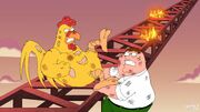 ChickenMan