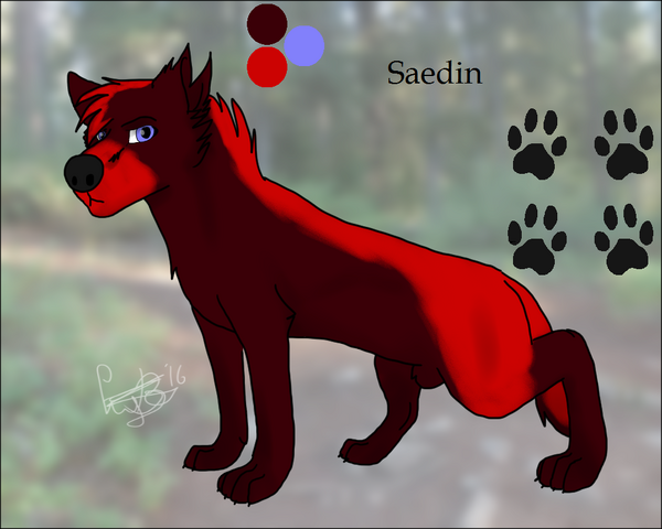 File:Saedin.png