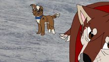 110