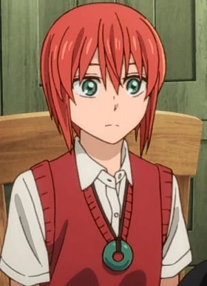 Image result for the ancient magus bride"