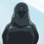 Get Wallpaper Karasu All Worlds Alliance Wiki Fandom Desktop Wallpaper