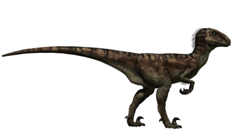 utahraptor real