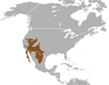 Kit fox range