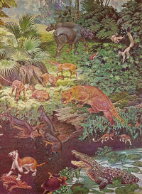 Eocene