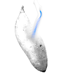 Sansyam