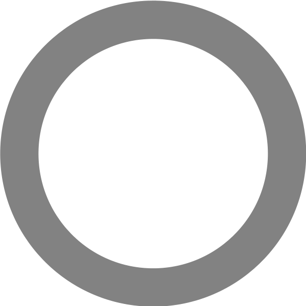 Grey Ring | All dimensions Wiki | Fandom