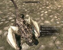 60117829