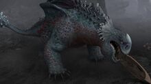 Rd