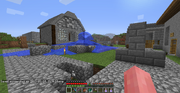 Griefing1b