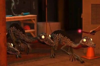 troodon dino dan