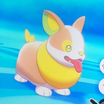 Yamper All Species Wiki Fandom