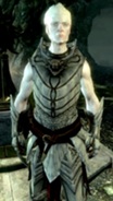 Image snow elf