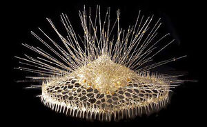 Prickly
