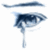 Teardrop