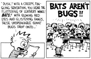 CalvinHobbes bats report 2371
