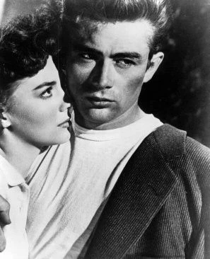 All Girls Want Bad Boys All The Tropes Wiki Fandom