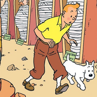 Tintin All The Tropes Wiki Fandom