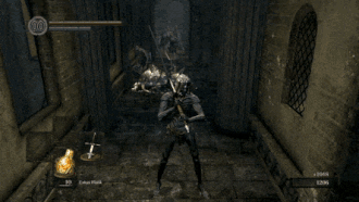 Dark Souls Ragdoll Physics