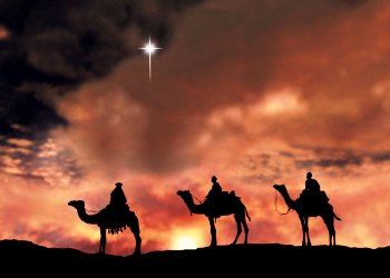 Pic-2-xmas-star-crscriptoriusrex 4501