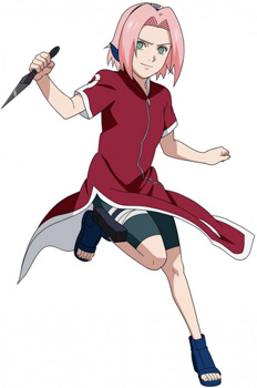 SakuraPTS 9354