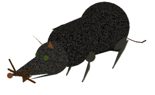 Modellotopaccio