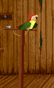Parrot