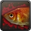 Fish Achievement Icon